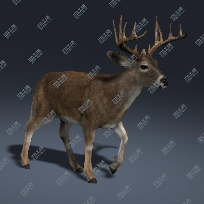 images/goods_img/20210313/Deer Family (FUR) (ANIMATED)/2.jpg